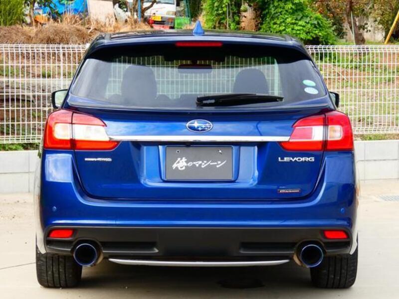 LEVORG
