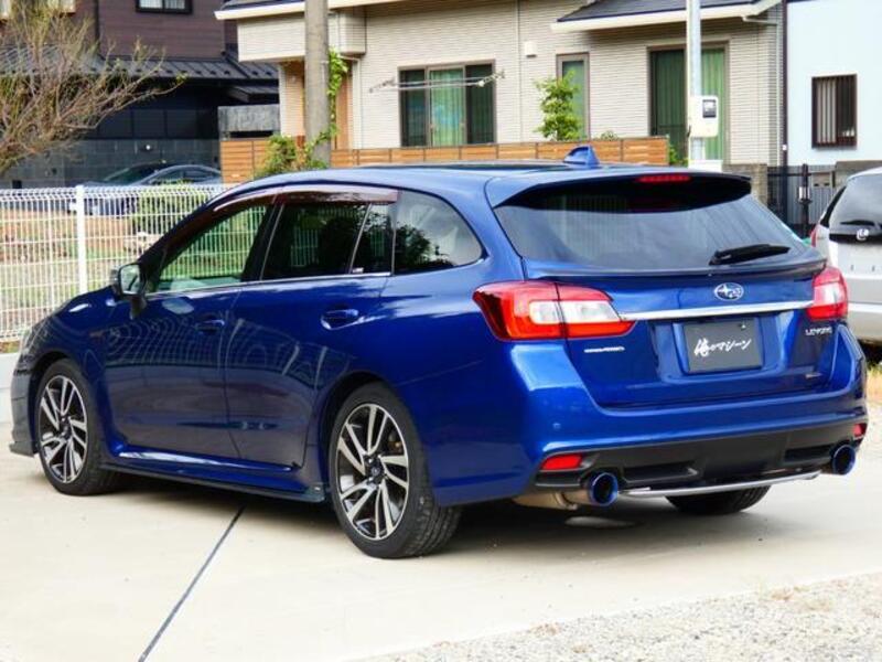 LEVORG