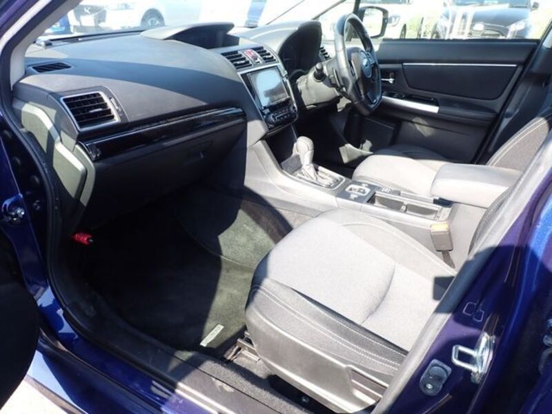 LEVORG
