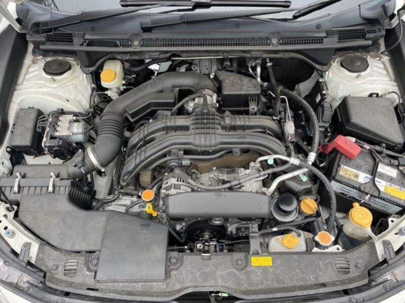 IMPREZA SPORT