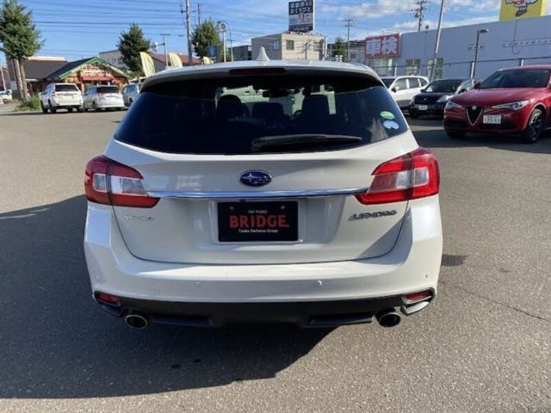 LEVORG