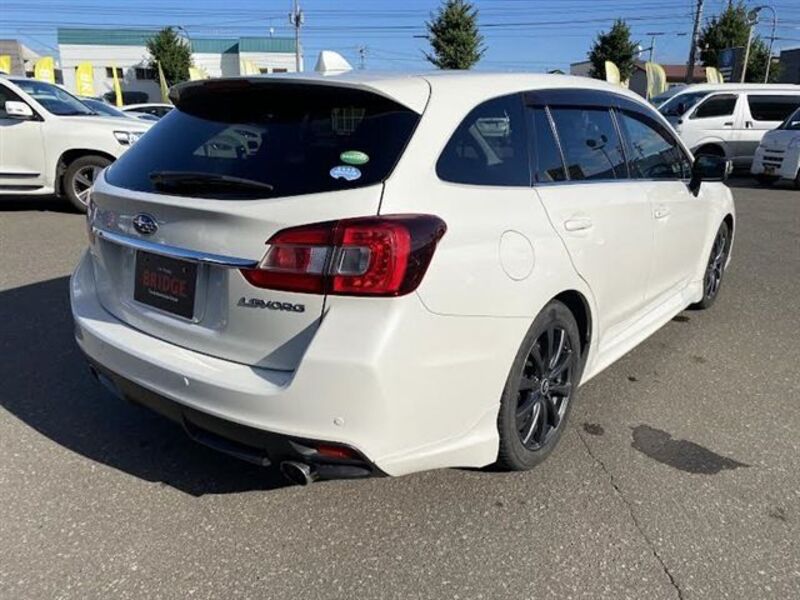 LEVORG