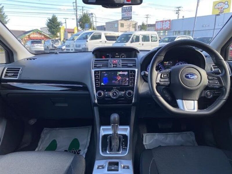 LEVORG
