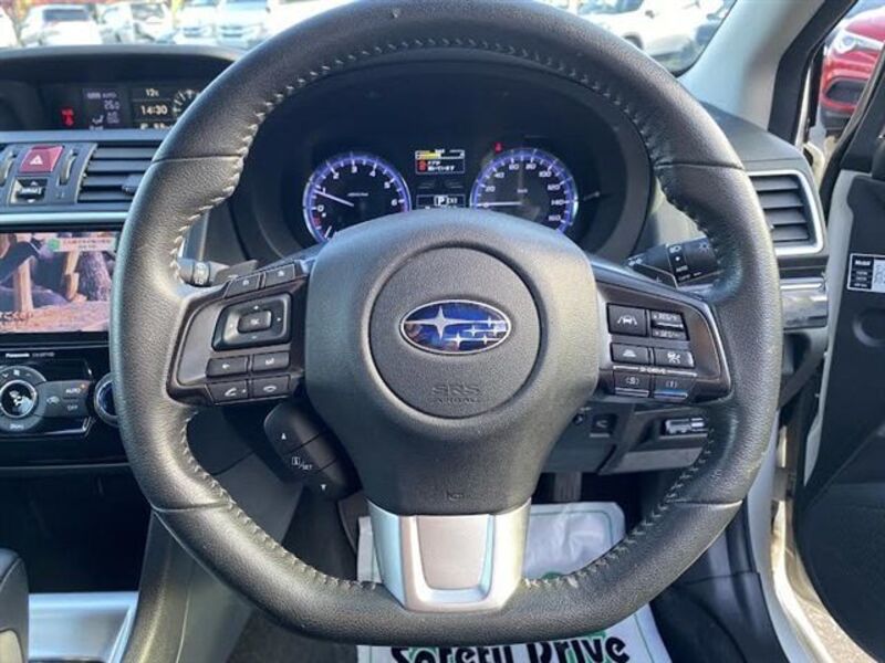 LEVORG