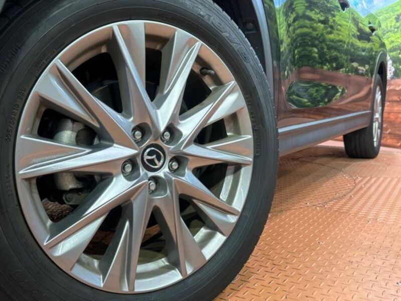 CX-8