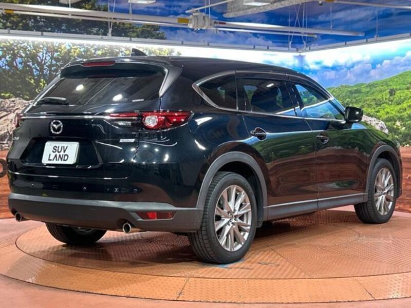 CX-8