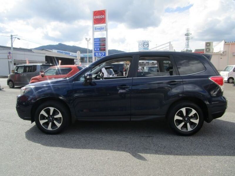 FORESTER