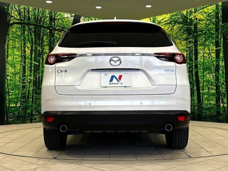 CX-8