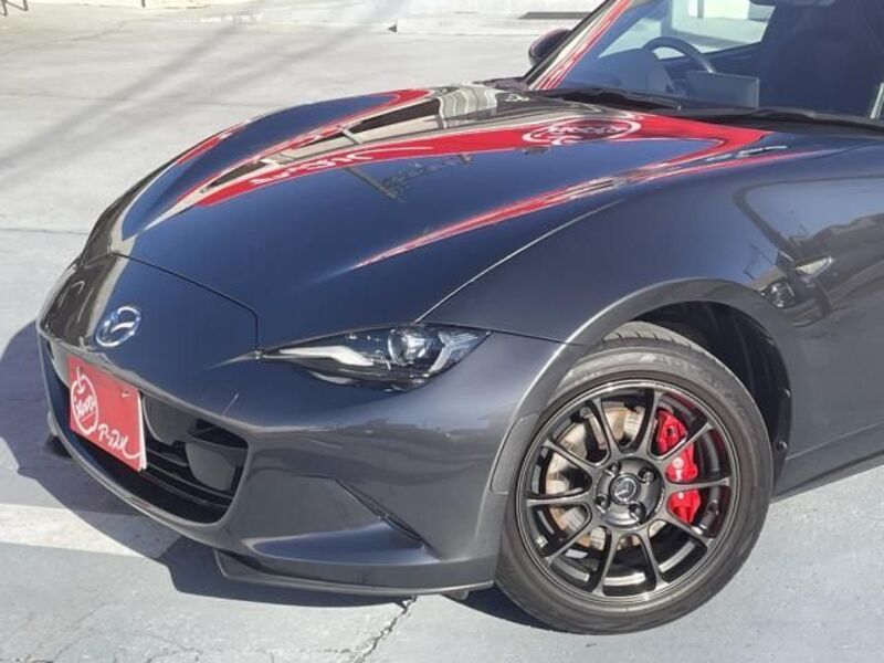 ROADSTER