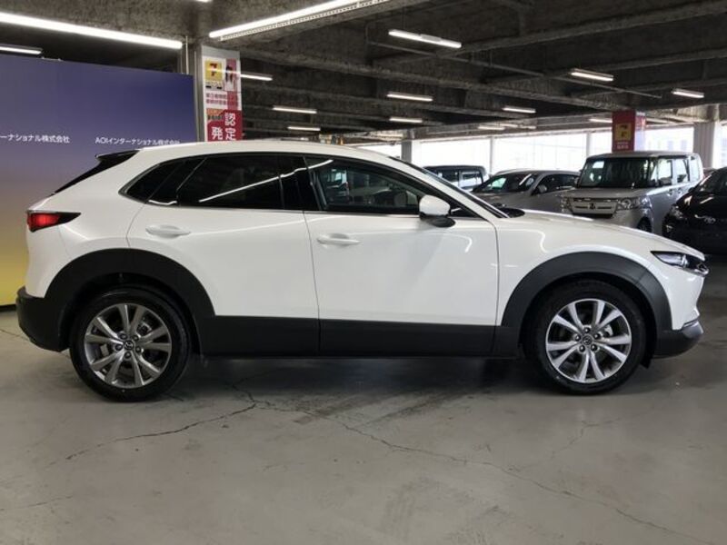 CX-30