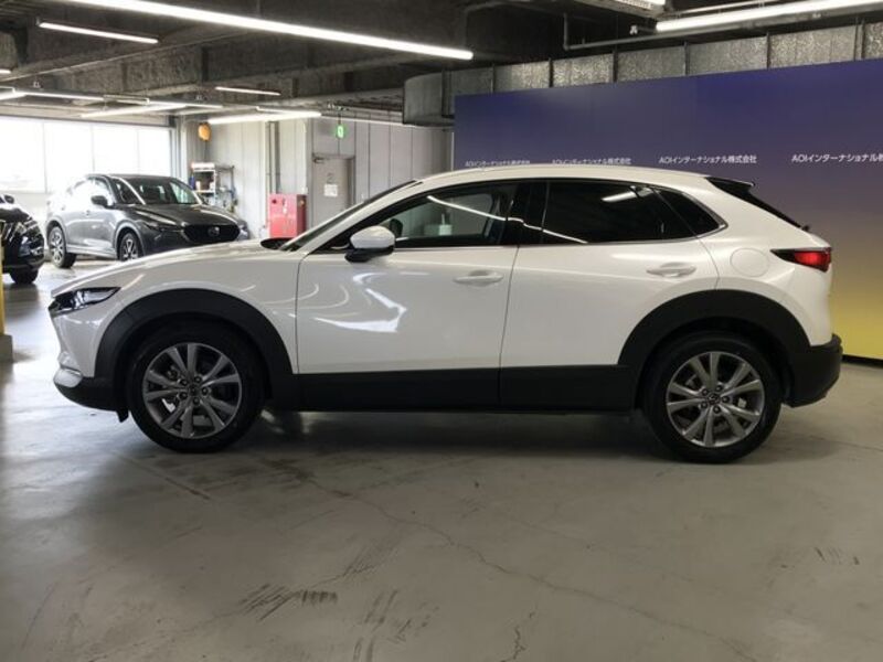 CX-30