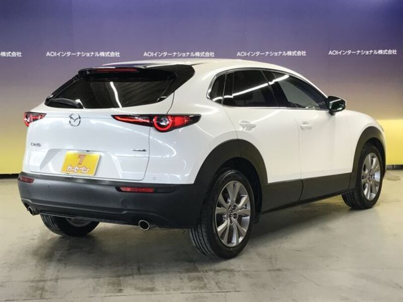 CX-30