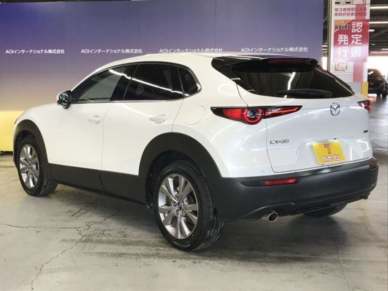 CX-30