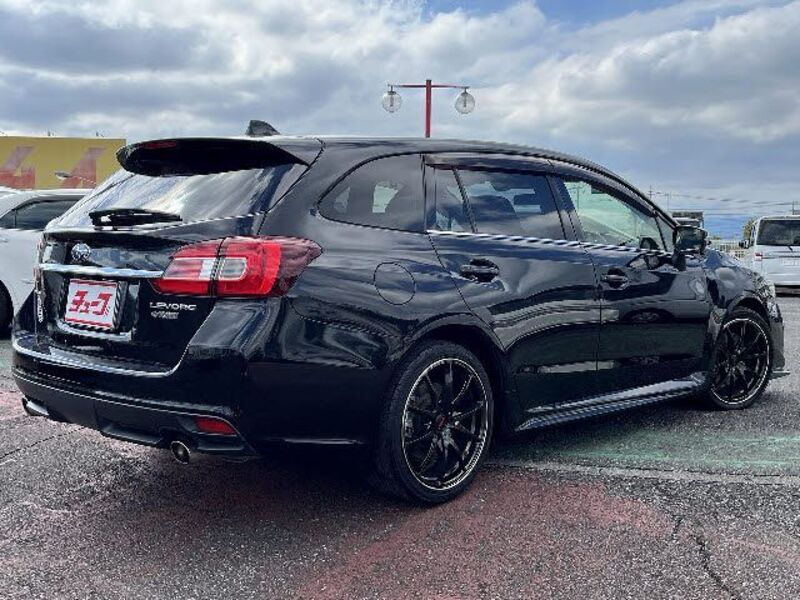 LEVORG