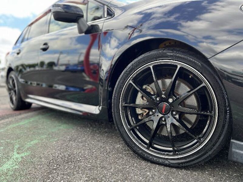 LEVORG