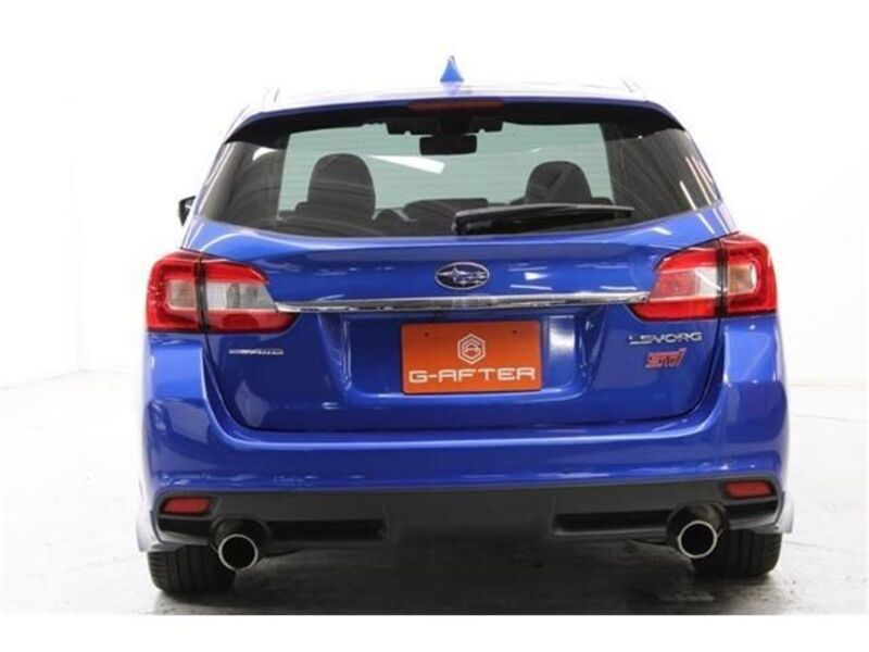 LEVORG