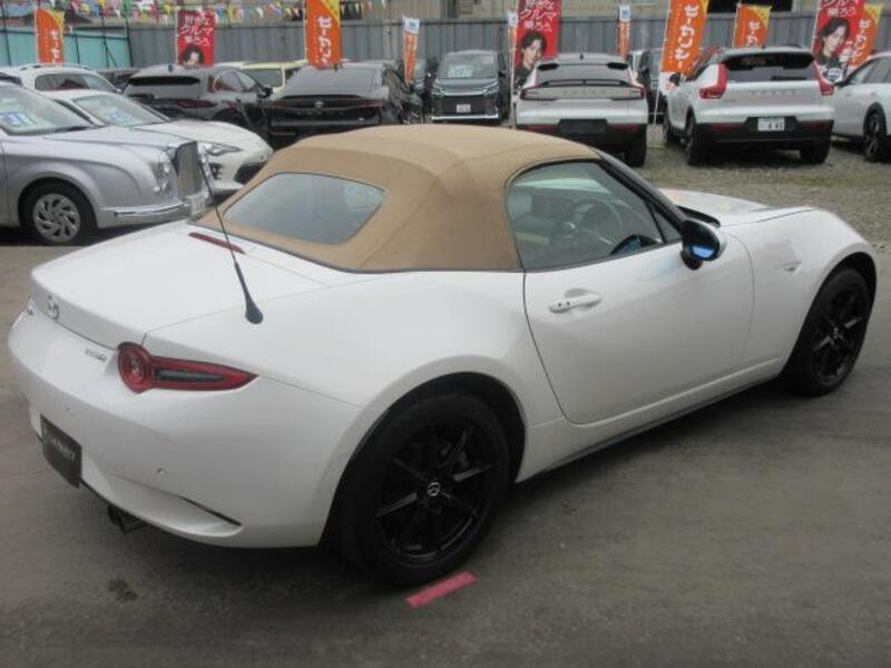 ROADSTER