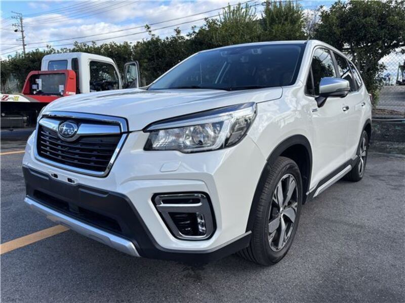 FORESTER-0