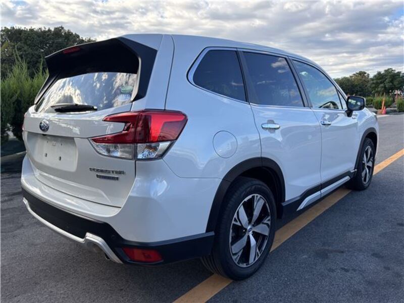FORESTER