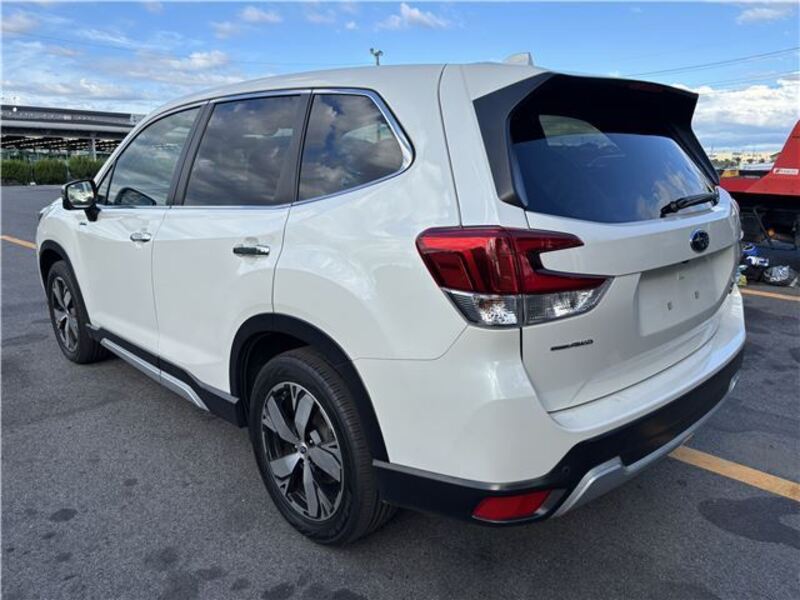 FORESTER