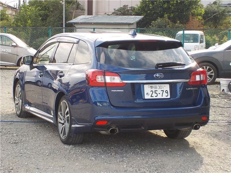 LEVORG