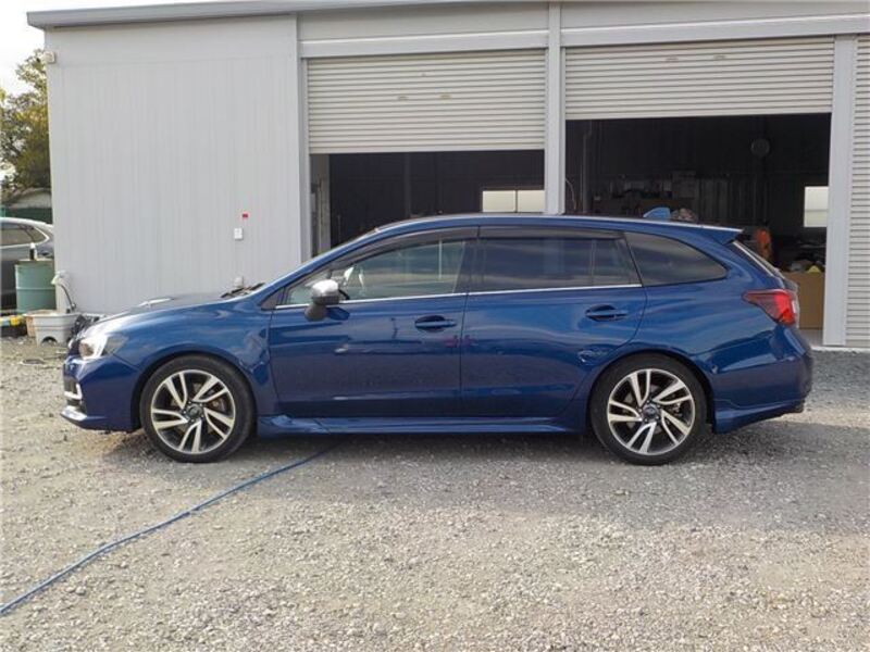 LEVORG