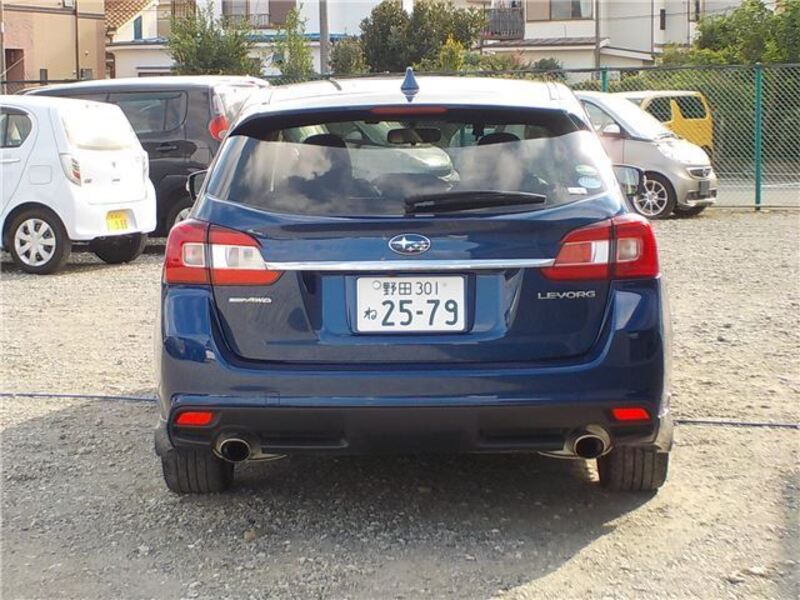 LEVORG