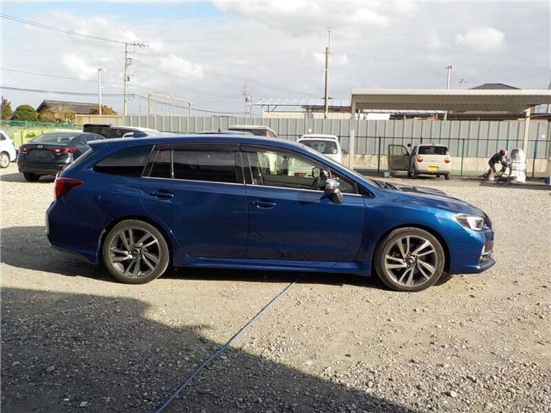 LEVORG