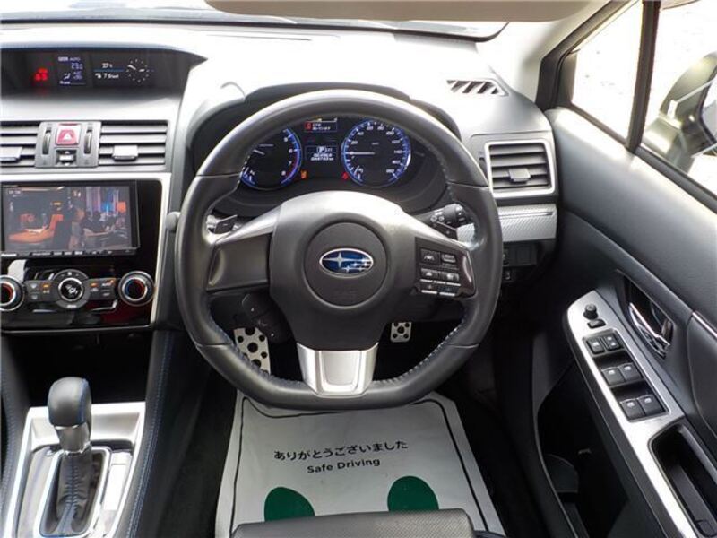 LEVORG