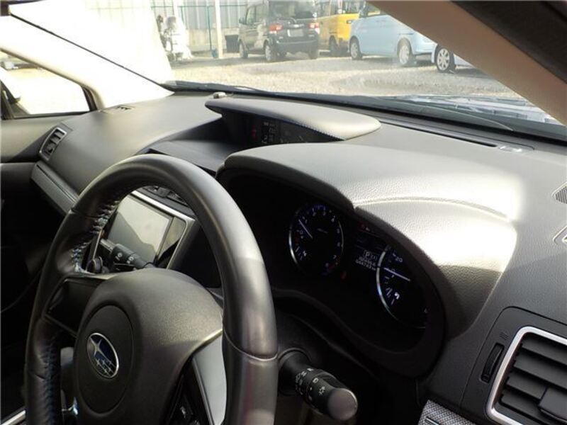 LEVORG