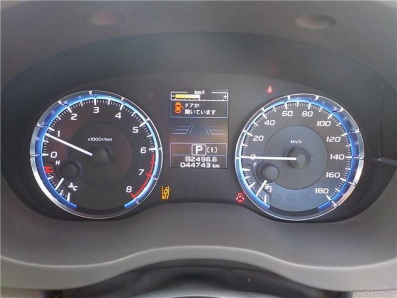 LEVORG