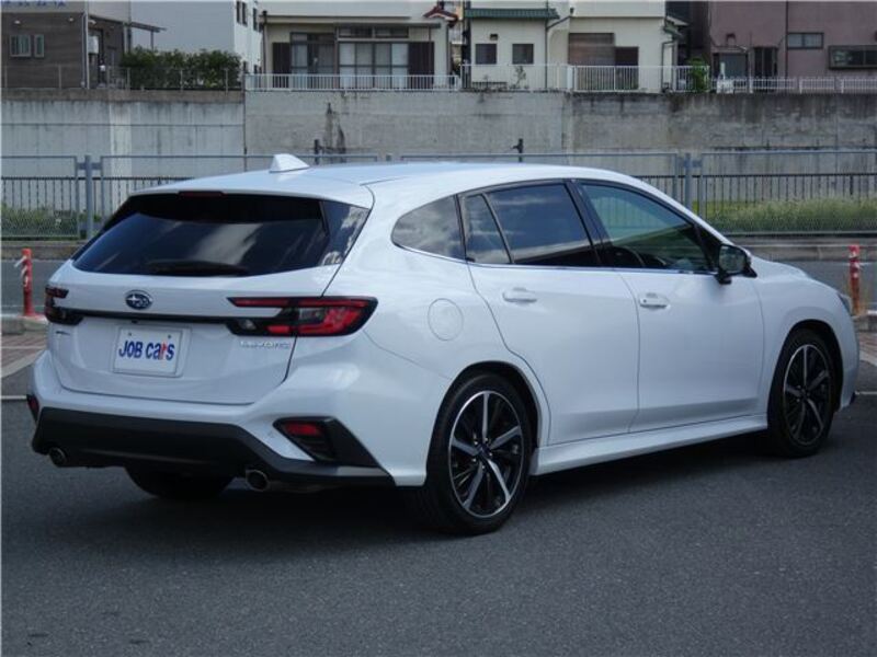 LEVORG