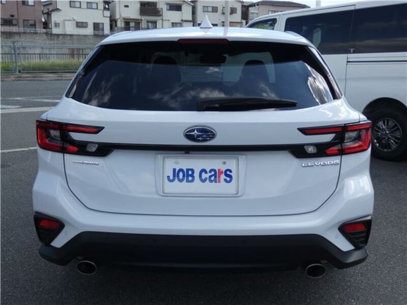 LEVORG