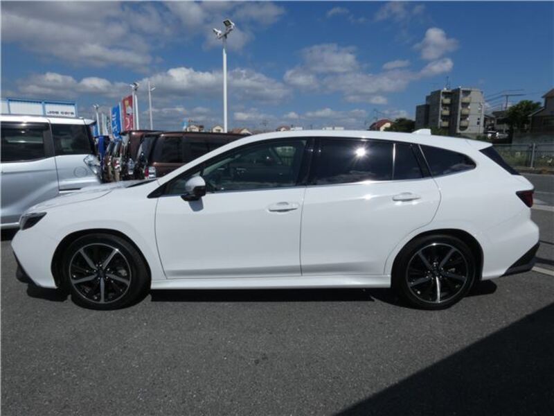 LEVORG