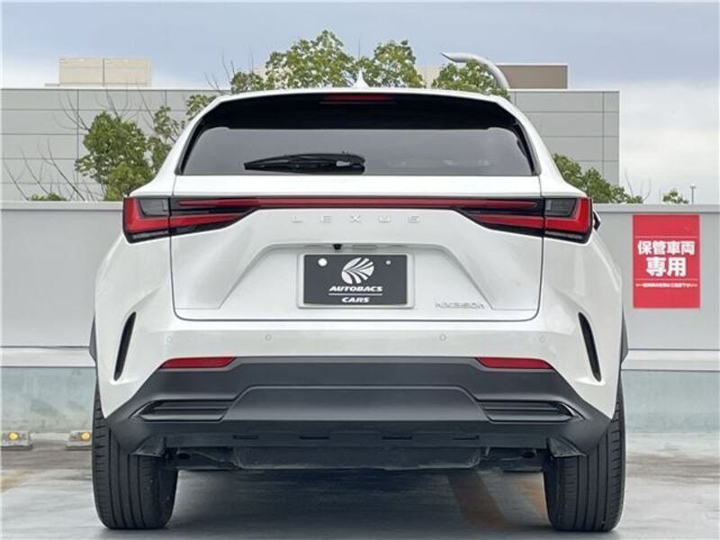 NX