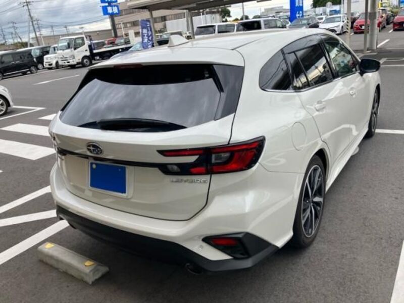 LEVORG