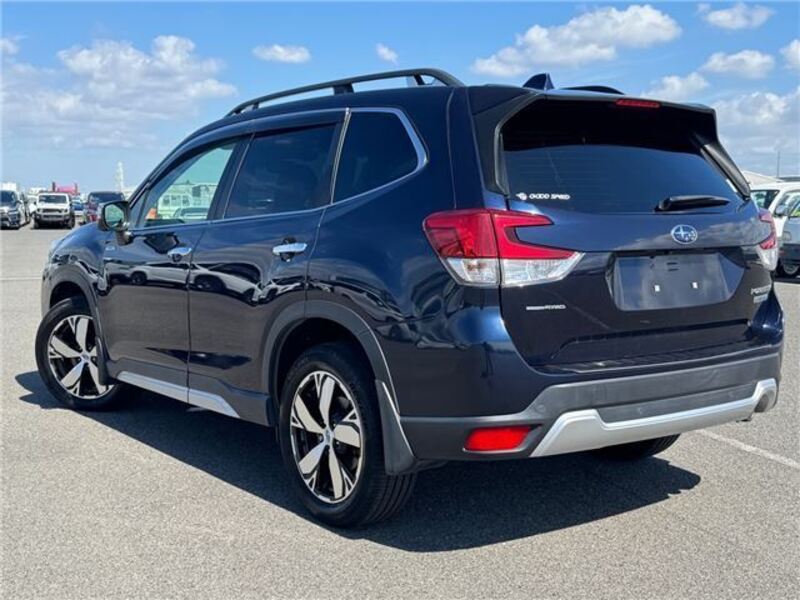 FORESTER
