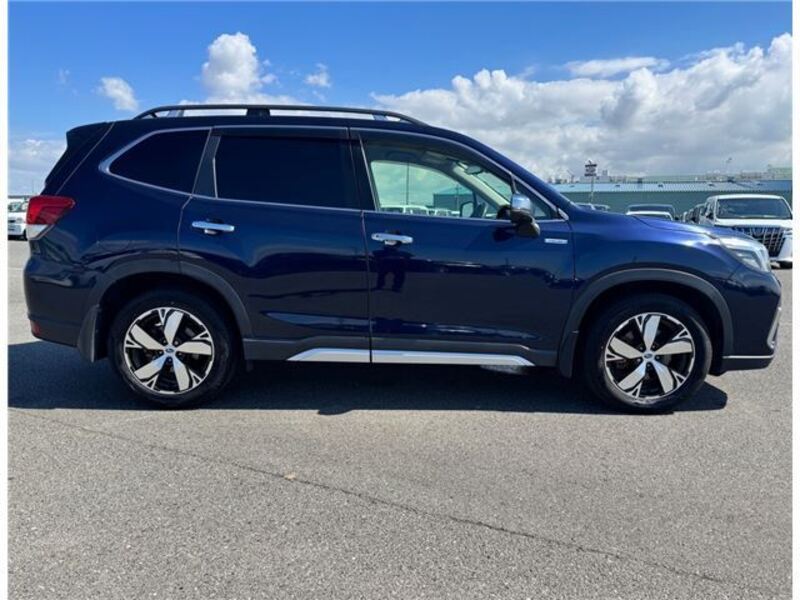 FORESTER