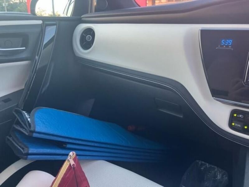 AURIS HYBRID