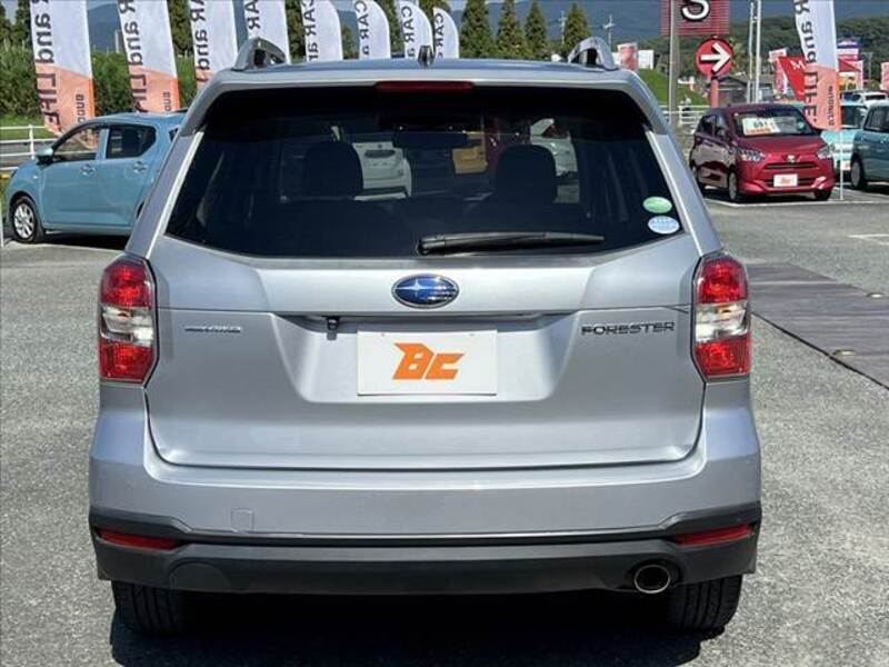 FORESTER