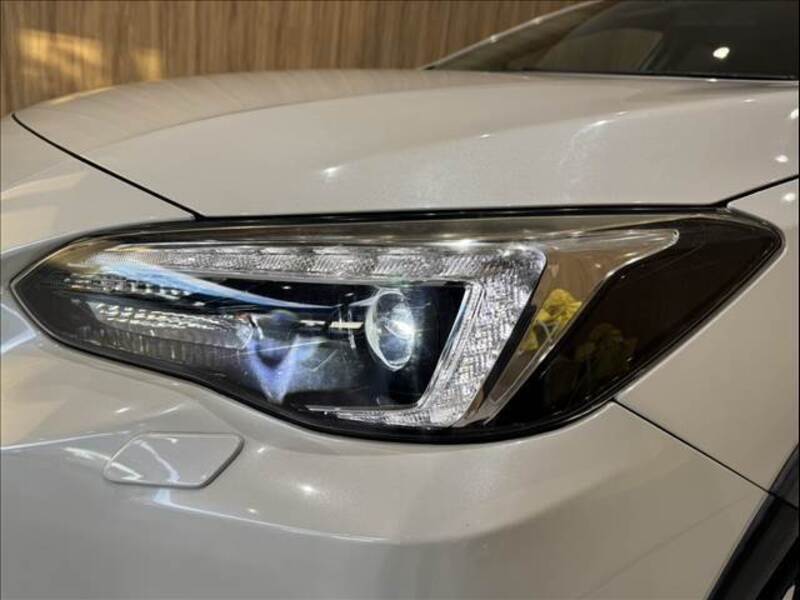 XV