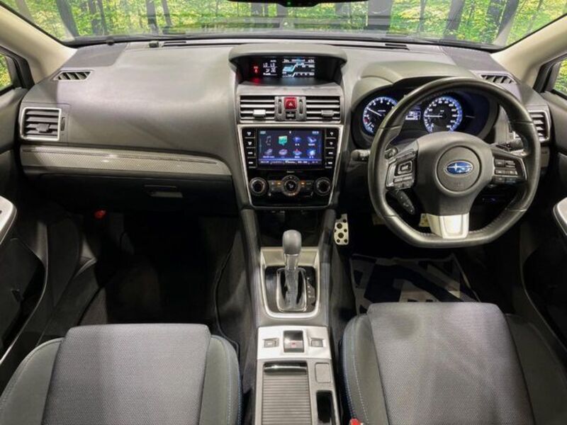 LEVORG