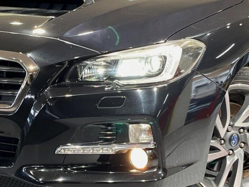 LEVORG