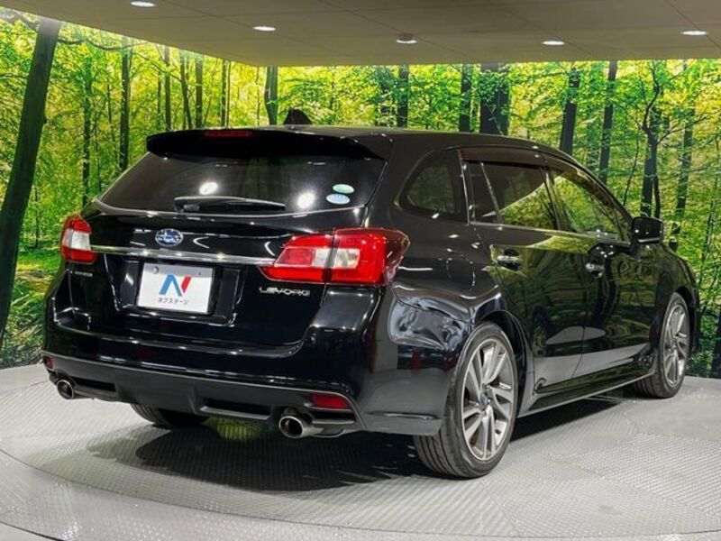 LEVORG