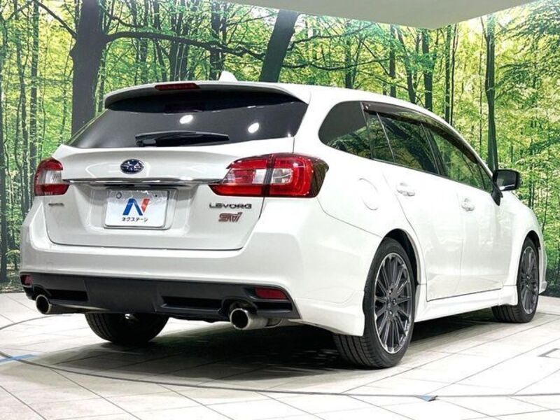 LEVORG