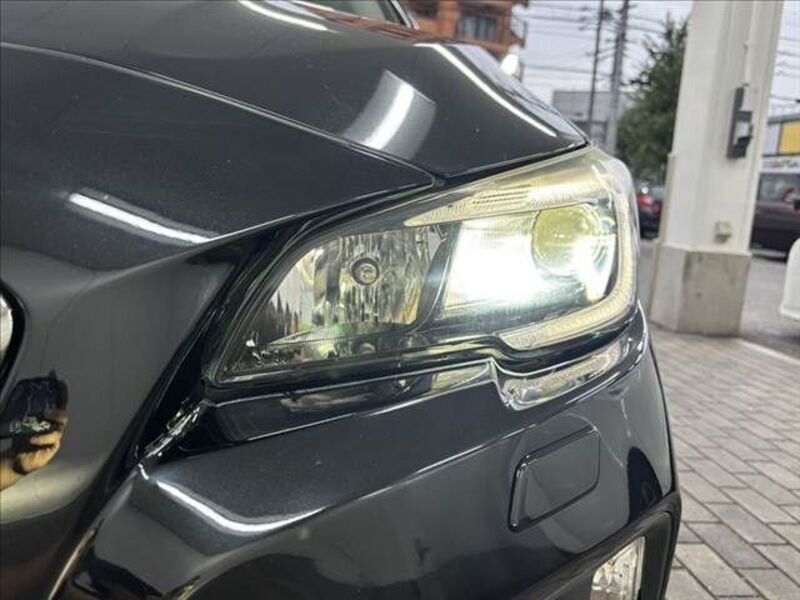 LEVORG