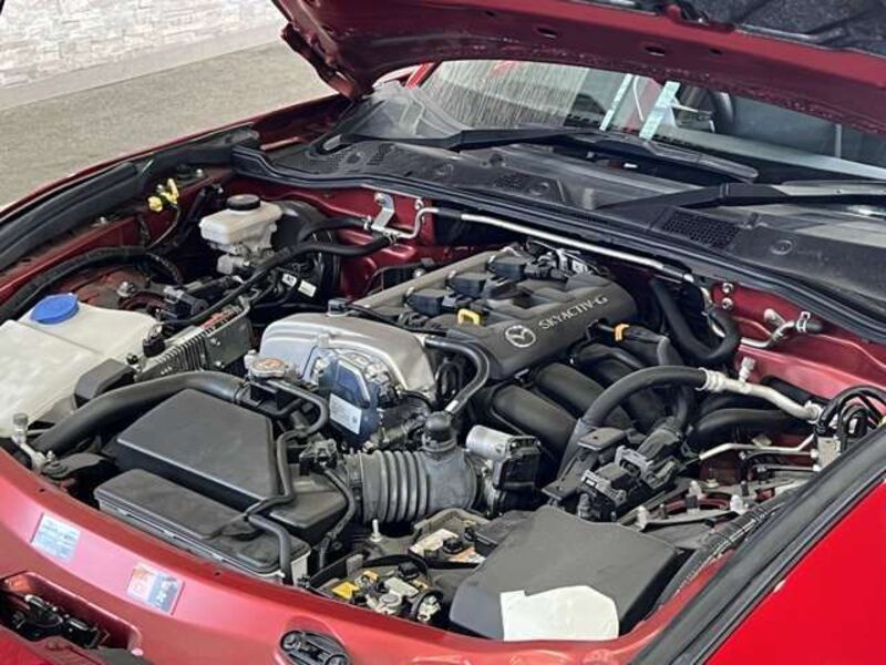 ROADSTER RF