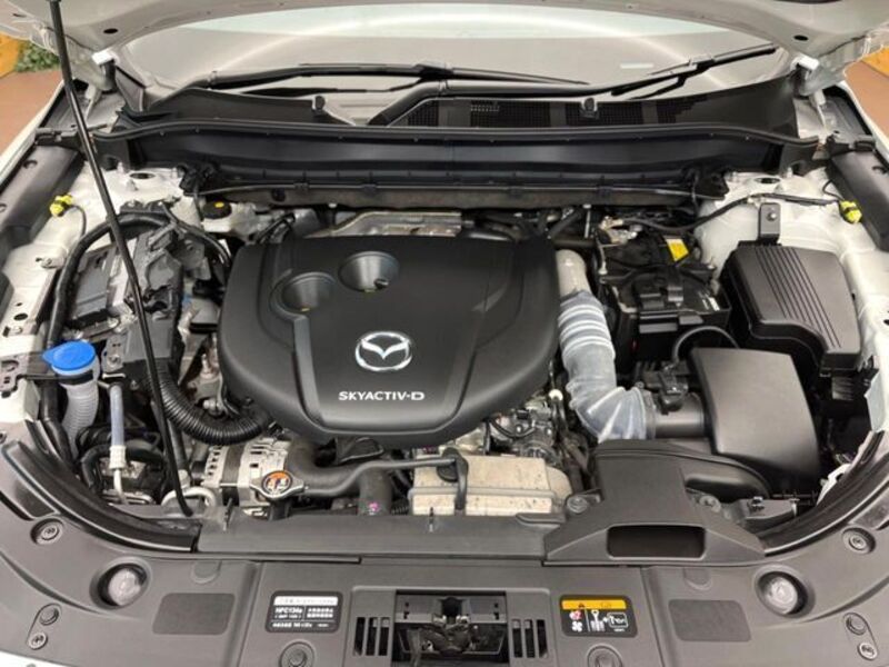 CX-8
