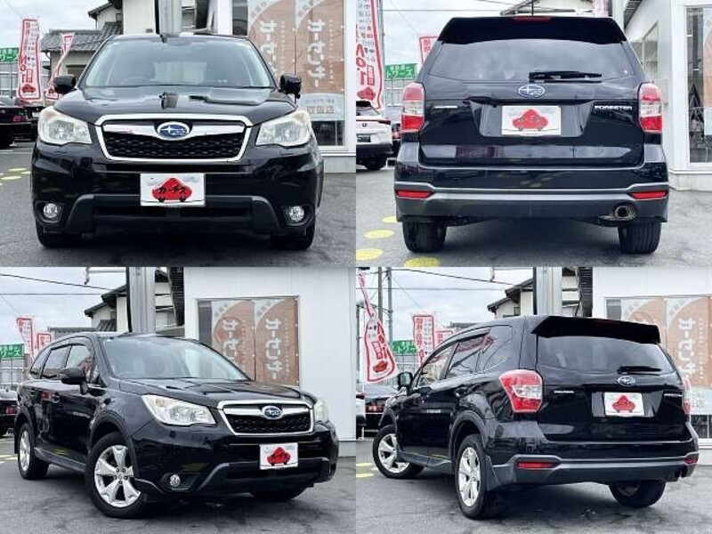 FORESTER