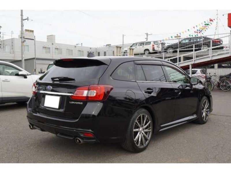 LEVORG